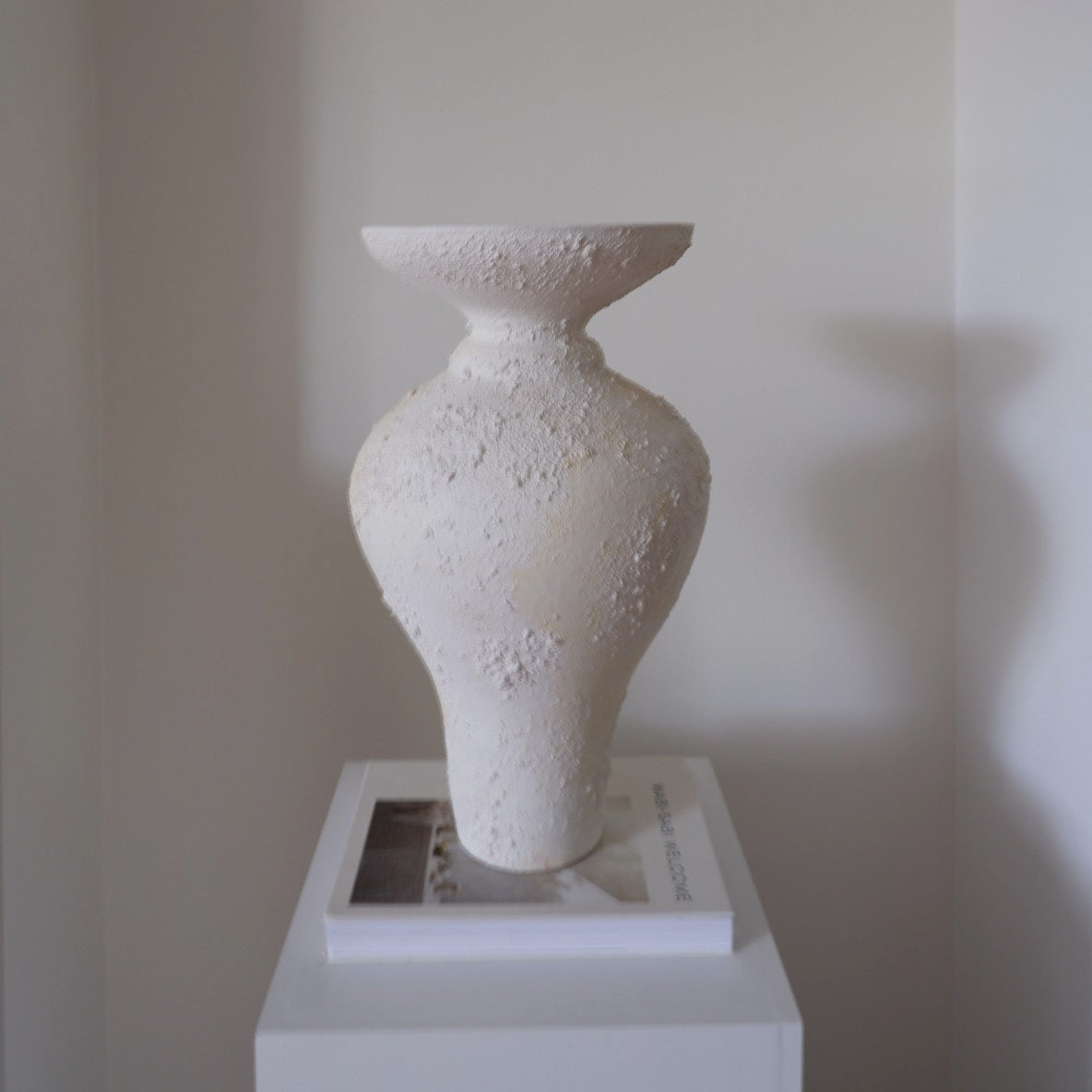 Handcrafted Terracotta Vase